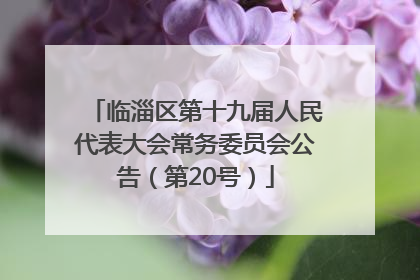 临淄区第十九届人民代表大会常务委员会公告（第20号）