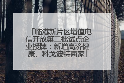 临港新片区增值电信开放第二批试点企业授牌：新增高济健康、科戈波特两家