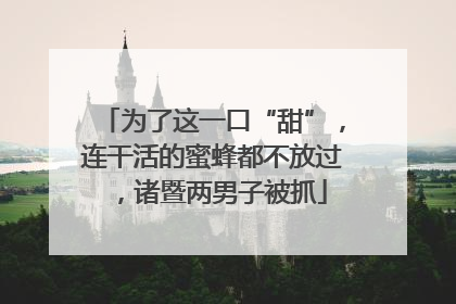为了这一口“甜”，连干活的蜜蜂都不放过，诸暨两男子被抓