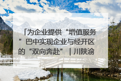 为企业提供“增值服务”巴中实现企业与经开区的“双向奔赴”｜川陕渝网络名人巴中行