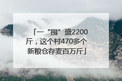 一“囤”盛2200斤，这个村470多个新粮仓存麦百万斤