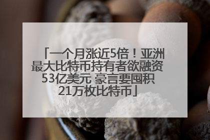 一个月涨近5倍！亚洲最大比特币持有者欲融资53亿美元 豪言要囤积21万枚比特币