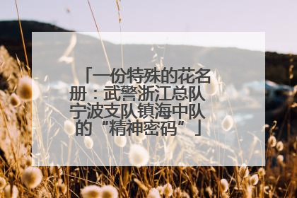 一份特殊的花名册：武警浙江总队宁波支队镇海中队的“精神密码”