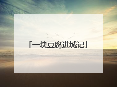 一块豆腐进城记