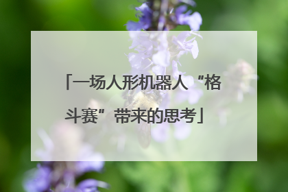 一场人形机器人“格斗赛”带来的思考
