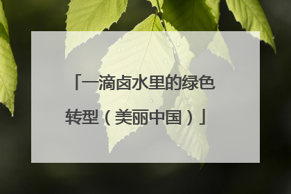 一滴卤水里的绿色转型（美丽中国）