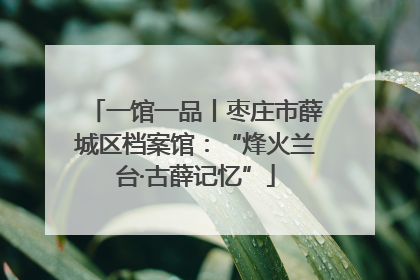 一馆一品丨枣庄市薛城区档案馆：“烽火兰台·古薛记忆”