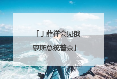 丁薛祥会见俄罗斯总统普京