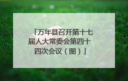 万年县召开第十七届人大常委会第四十四次会议（图）