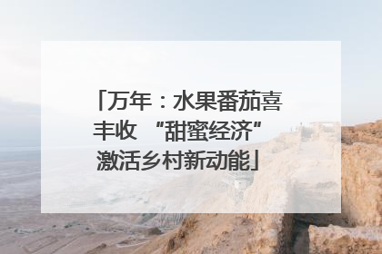 万年：水果番茄喜丰收 “甜蜜经济”激活乡村新动能