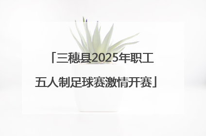 三穗县2025年职工五人制足球赛激情开赛