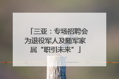 三亚：专场招聘会为退役军人及随军家属“职引未来”