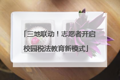 三地联动！志愿者开启校园税法教育新模式