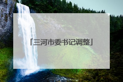 三河市委书记调整