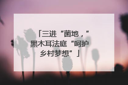 三进“菌地，”黑木耳法庭“呵护乡村梦想”
