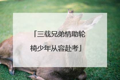 三载兄弟情助轮椅少年从容赴考