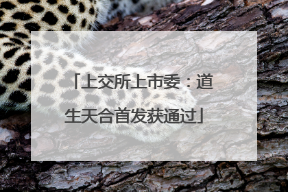 上交所上市委：道生天合首发获通过