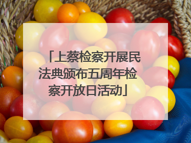 上蔡检察开展民法典颁布五周年检察开放日活动