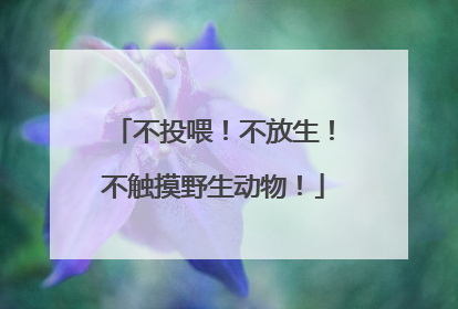 不投喂！不放生！不触摸野生动物！