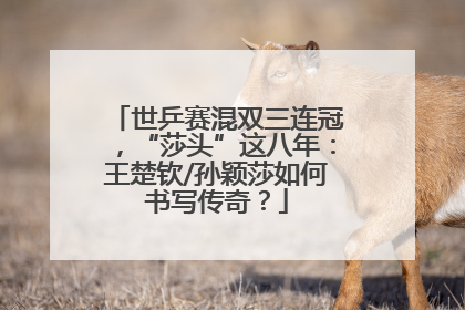 世乒赛混双三连冠，“莎头”这八年：王楚钦/孙颖莎如何书写传奇？
