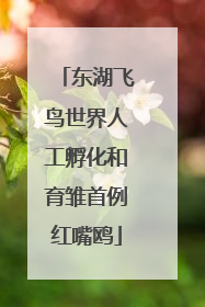 东湖飞鸟世界人工孵化和育雏首例红嘴鸥