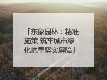 东象园林：精准施策 筑牢城市绿化抗旱坚实屏障