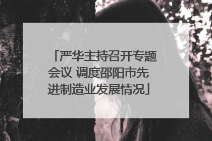 严华主持召开专题会议 调度邵阳市先进制造业发展情况