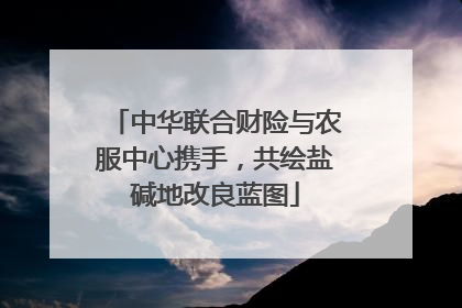 中华联合财险与农服中心携手，共绘盐碱地改良蓝图