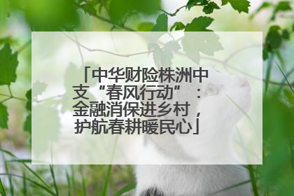 中华财险株洲中支“春风行动”：金融消保进乡村，护航春耕暖民心