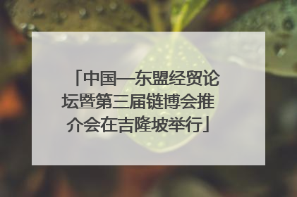 中国—东盟经贸论坛暨第三届链博会推介会在吉隆坡举行
