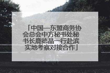 中国—东盟商务协会总会中方秘书处秘书长鹿德晶一行赴滨实地考察对接合作