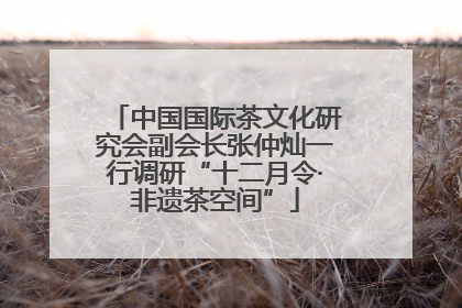 中国国际茶文化研究会副会长张仲灿一行调研“十二月令·非遗茶空间”