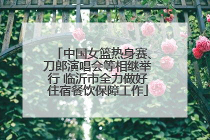 中国女篮热身赛、刀郎演唱会等相继举行 临沂市全力做好住宿餐饮保障工作