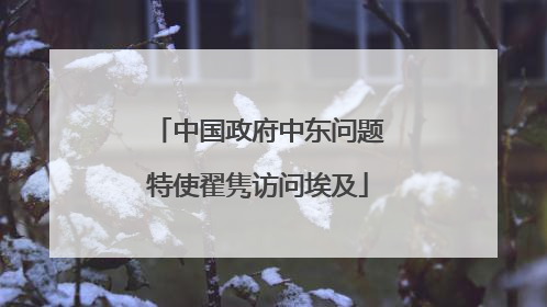 中国政府中东问题特使翟隽访问埃及