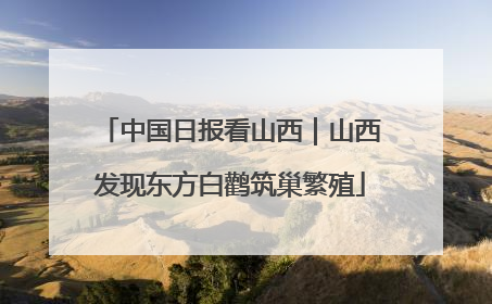 中国日报看山西｜山西发现东方白鹳筑巢繁殖