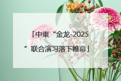 中柬“金龙-2025”联合演习落下帷幕