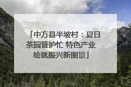 中方县半坡村：夏日茶园管护忙 特色产业绘就振兴新图景