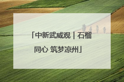 中新武威观｜石榴同心 筑梦凉州