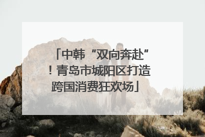 中韩“双向奔赴”！青岛市城阳区打造跨国消费狂欢场