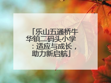 乐山五通桥牛华镇二码头小学：适应与成长，助力新启航