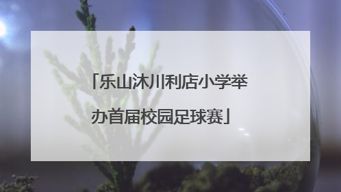 乐山沐川利店小学举办首届校园足球赛