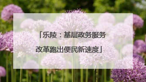 乐陵：基层政务服务改革跑出便民新速度