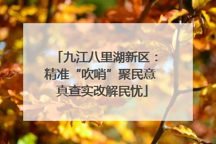 九江八里湖新区：精准“吹哨”聚民意 真查实改解民忧