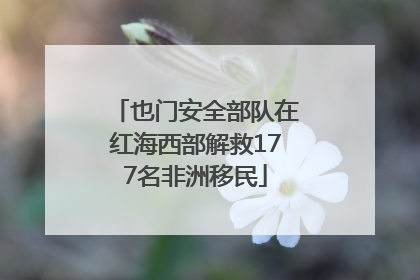 也门安全部队在红海西部解救177名非洲移民