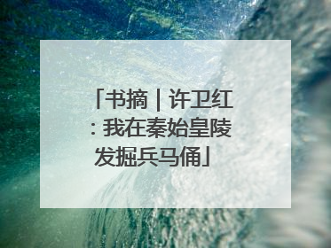 书摘｜许卫红：我在秦始皇陵发掘兵马俑