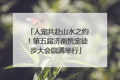 人宠共赴山水之约！第五届济南携宠徒步大会圆满举行