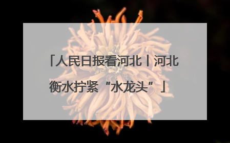 人民日报看河北丨河北衡水拧紧“水龙头”