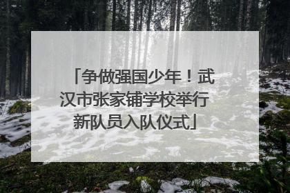 争做强国少年！武汉市张家铺学校举行新队员入队仪式