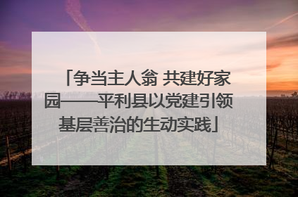 争当主人翁 共建好家园——平利县以党建引领基层善治的生动实践