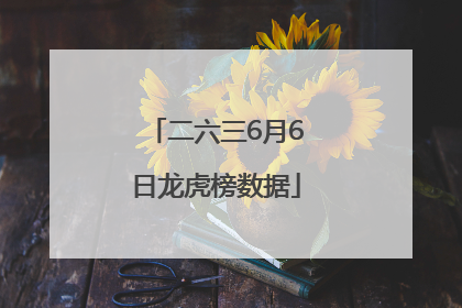 二六三6月6日龙虎榜数据